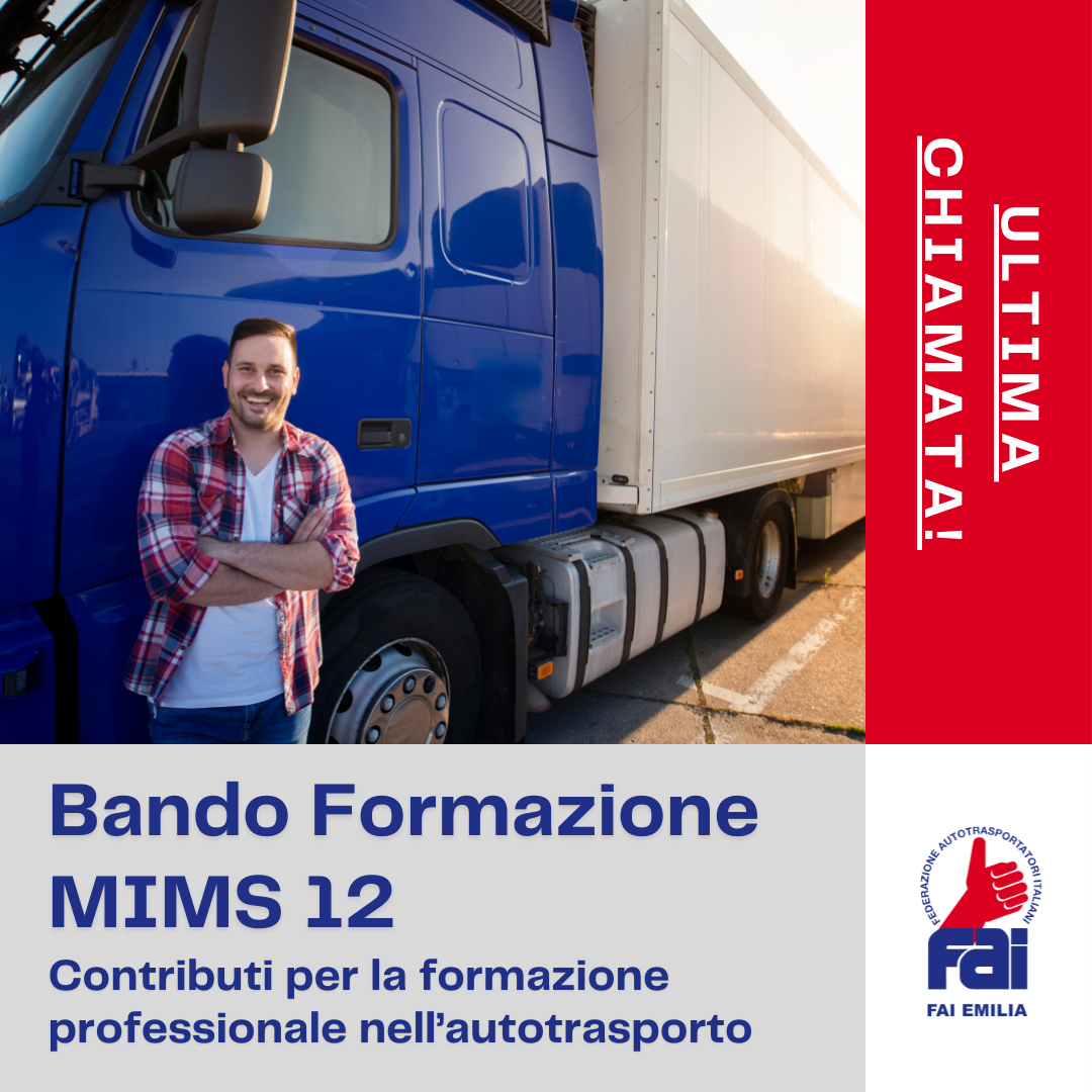 Bando Formazione MIMS 12